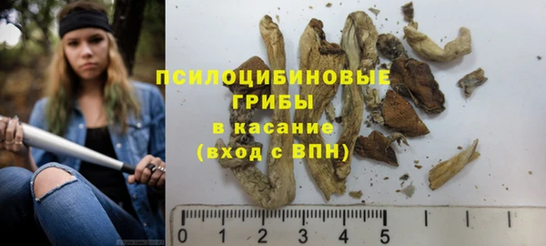 гашик Магадан