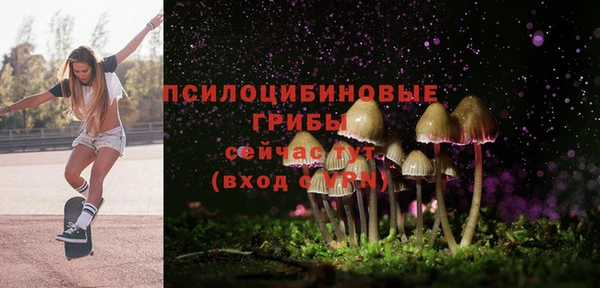 таблы Медногорск