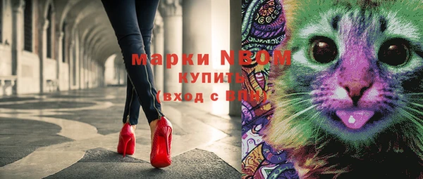 гашик Магадан