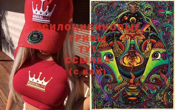 гашик Магадан