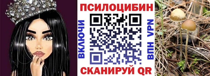 МЕГА ссылки  даркнет какой сайт  Галлюциногенные грибы Psilocybe  Тихорецк 