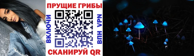 Галлюциногенные грибы Cubensis Тихорецк